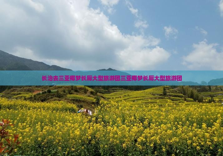 长治去三亚椰梦长廊大型旅游团