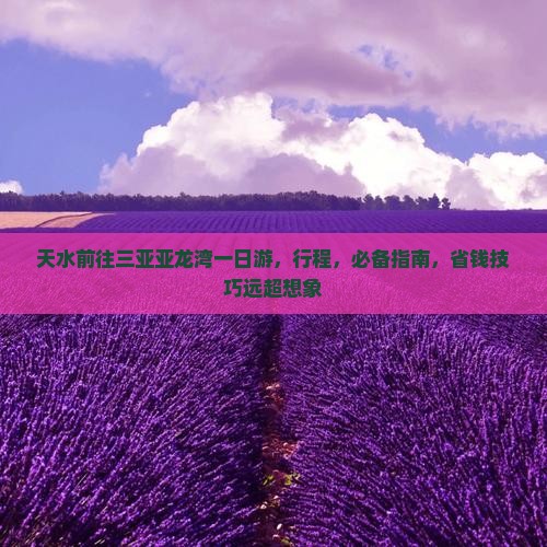 天水前往三亚亚龙湾一日游