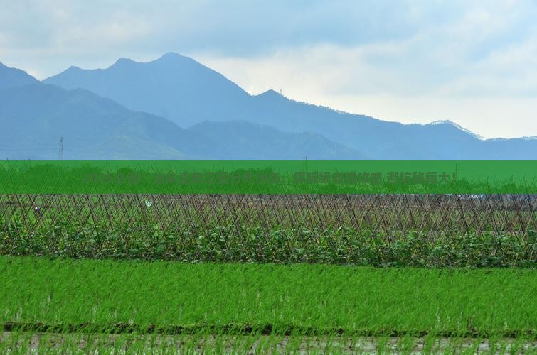 汕头去三亚分界洲岛旅行社
