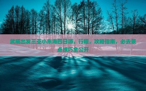 武威出发三亚小东海四日游