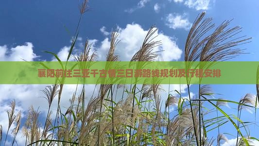 襄阳前往三亚千古情三日游
