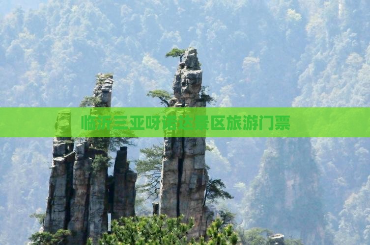 临沂前往三亚呀诺达景区门票