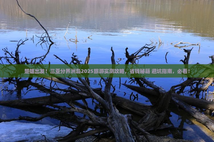 楚雄去三亚分界洲岛旅游