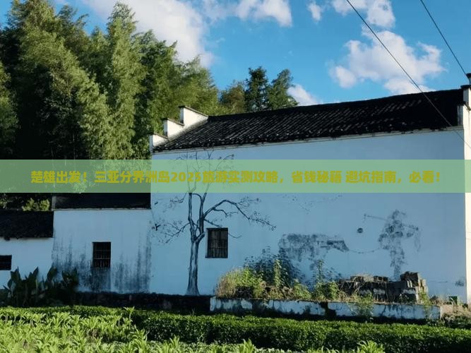 楚雄去三亚分界洲岛旅游