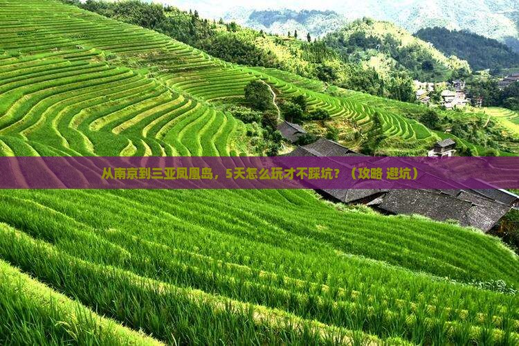 南京去三亚凤凰岛攻略