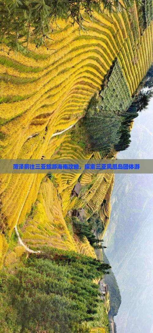 菏泽前往三亚凤凰岛团体旅游