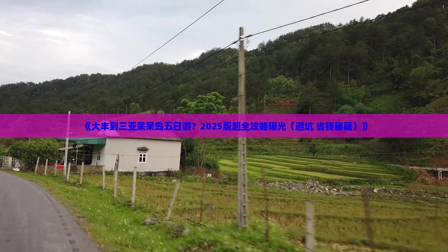 大丰去三亚呆呆岛五日游