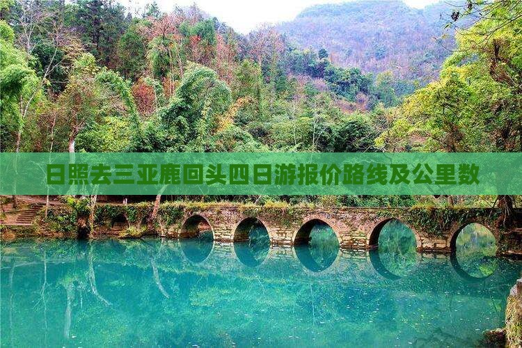 日照去三亚鹿回头四日游