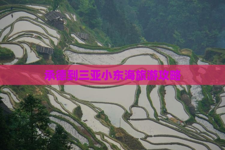 承德前往三亚小东海个人游