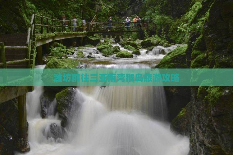 潍坊前往三亚南湾猴岛旅游打卡点