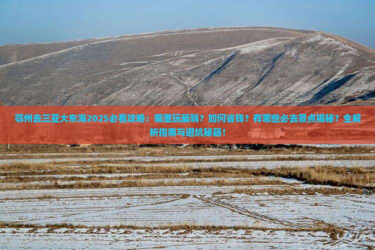 鄂州去三亚大东海哪里玩