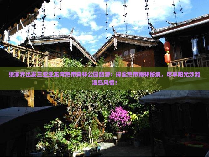 张家界出发三亚亚龙湾热带森林公园旅游