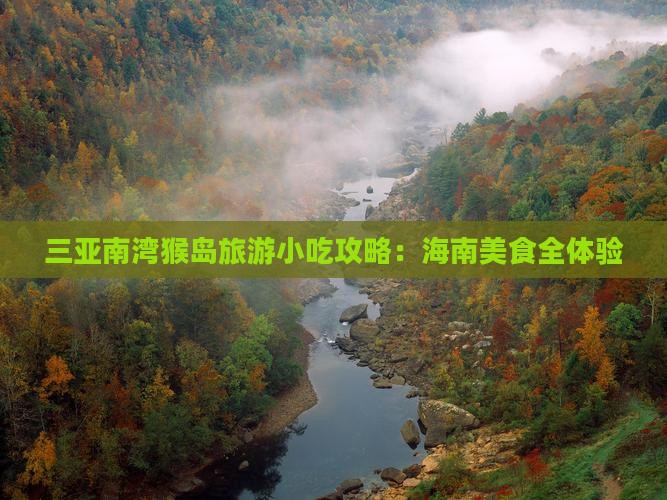 济源前往三亚南湾猴岛旅游小吃