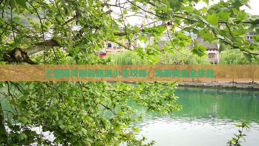 济源前往三亚南湾猴岛旅游小吃