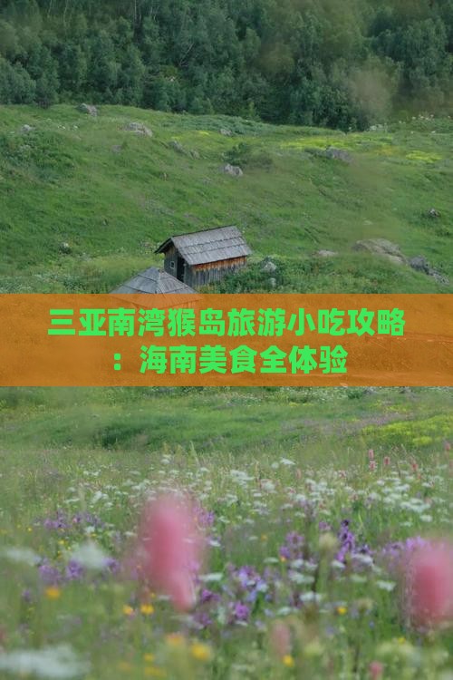 济源前往三亚南湾猴岛旅游小吃