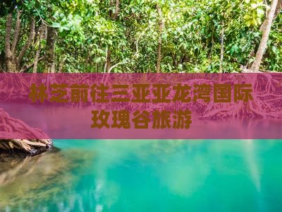 林芝前往三亚亚龙湾国际玫瑰谷旅游