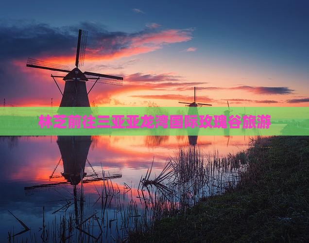 林芝前往三亚亚龙湾国际玫瑰谷旅游