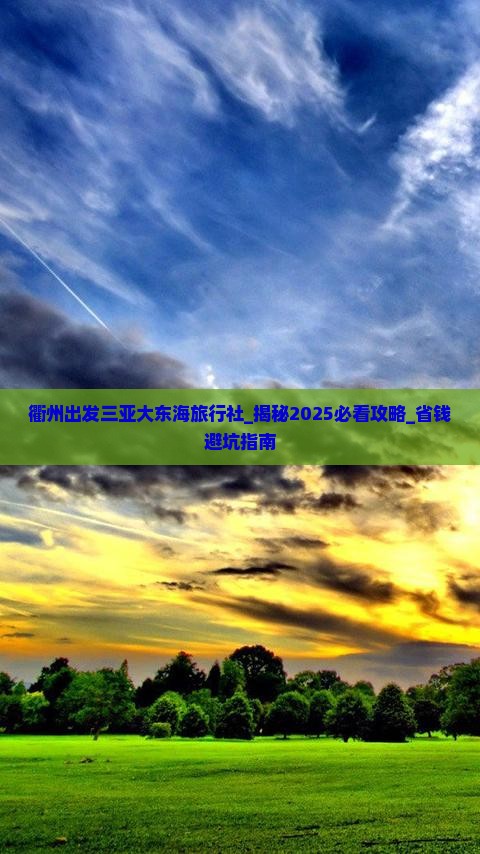 衢州出发三亚大东海旅行社