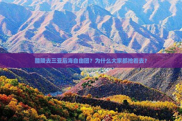 醴陵去三亚后海自由团