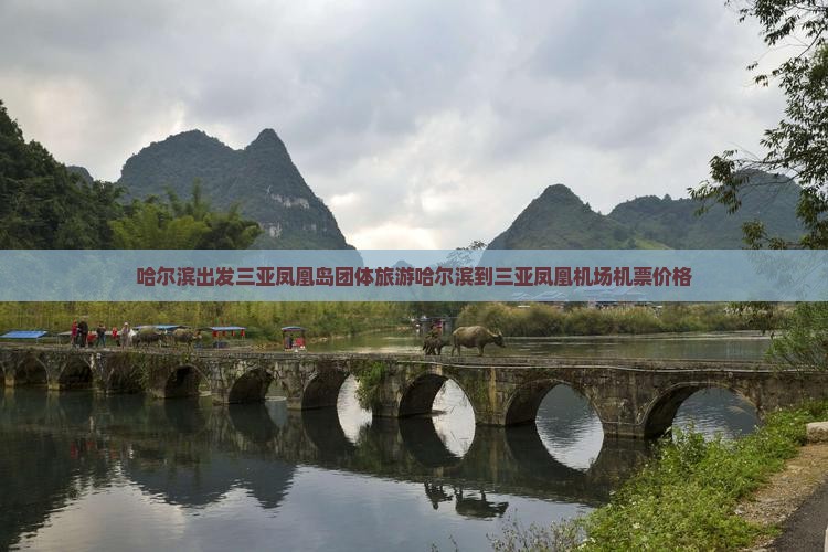 哈尔滨出发三亚凤凰岛团体旅游