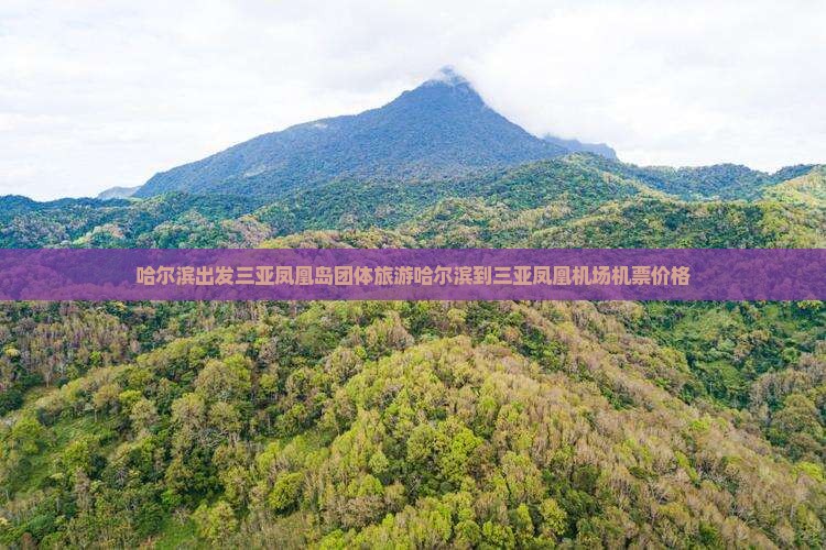 哈尔滨出发三亚凤凰岛团体旅游