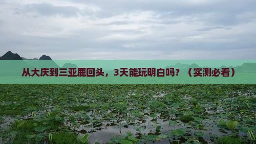 大庆出发三亚鹿回头三日游