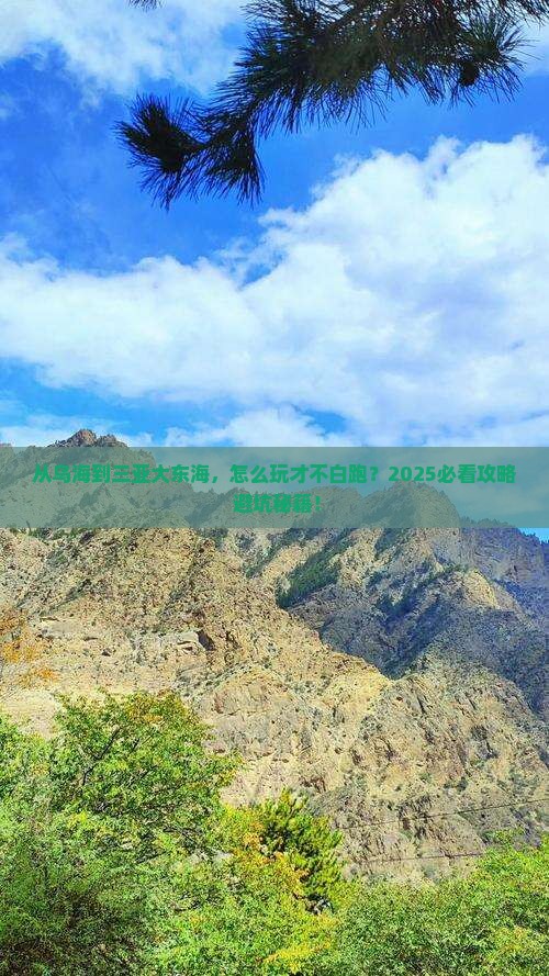 乌海市前往三亚大东海必玩地