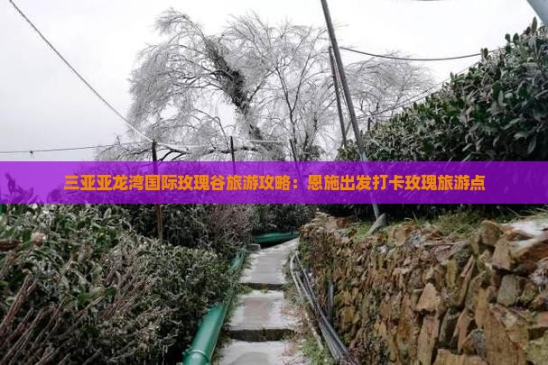恩施去三亚亚龙湾国际玫瑰谷旅游打卡点