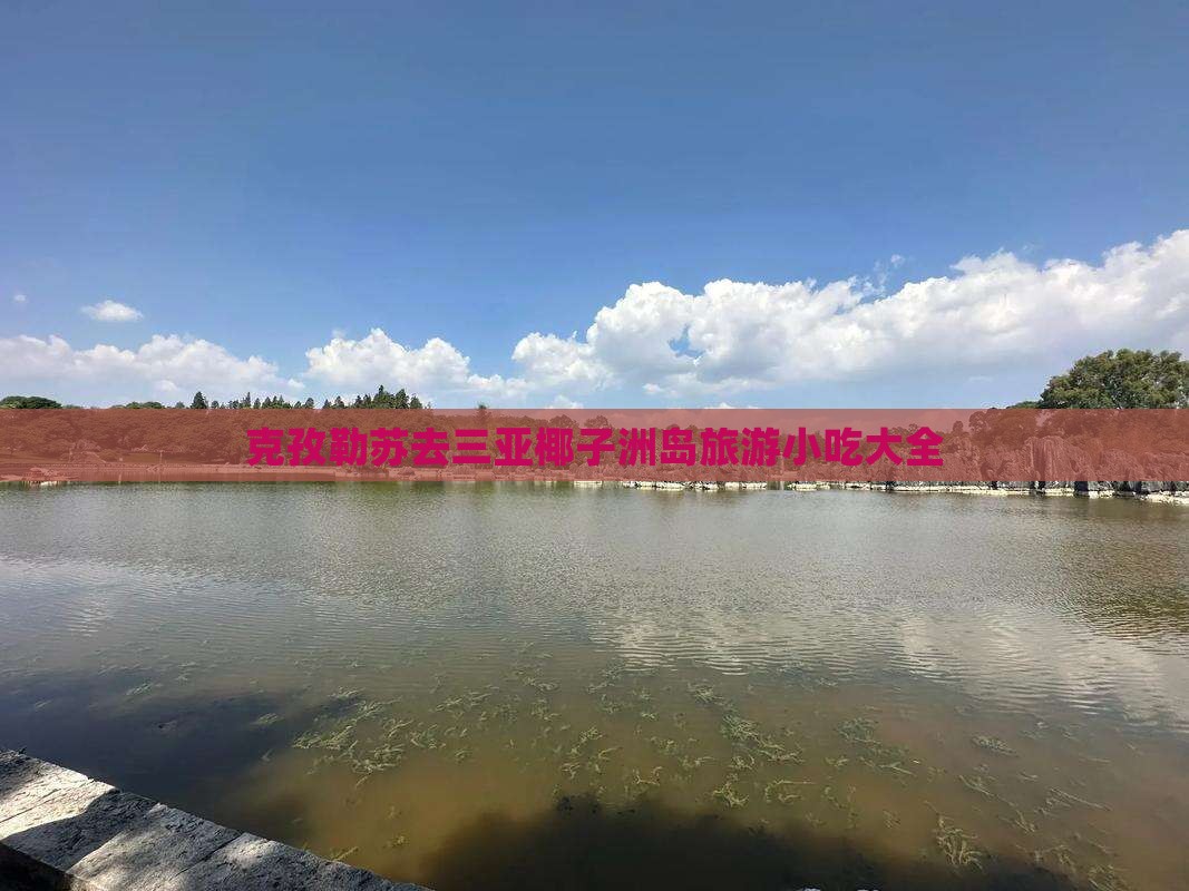 克孜勒苏去三亚椰子洲岛旅游小吃