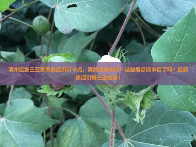 滨州出发三亚呆呆岛旅游打卡点