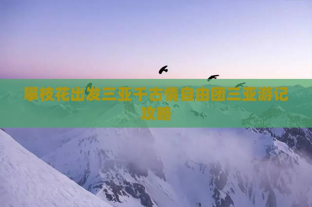 攀枝花出发三亚千古情自由团