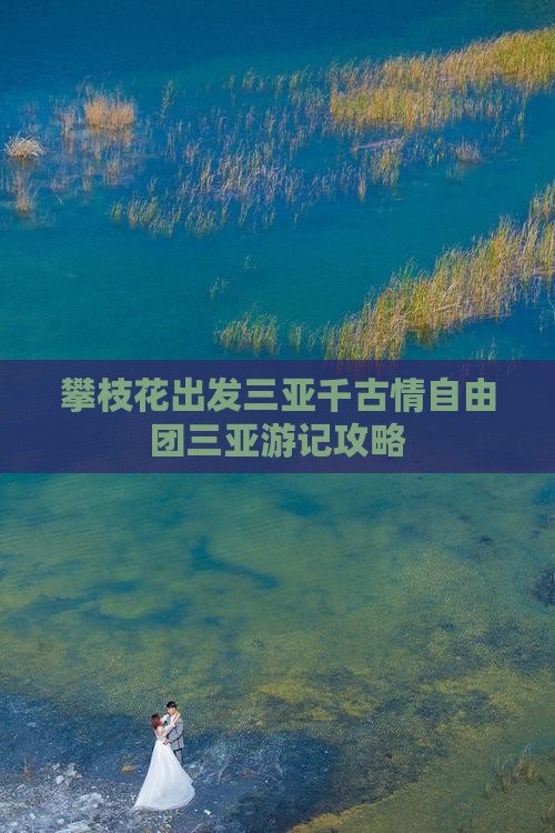 攀枝花出发三亚千古情自由团