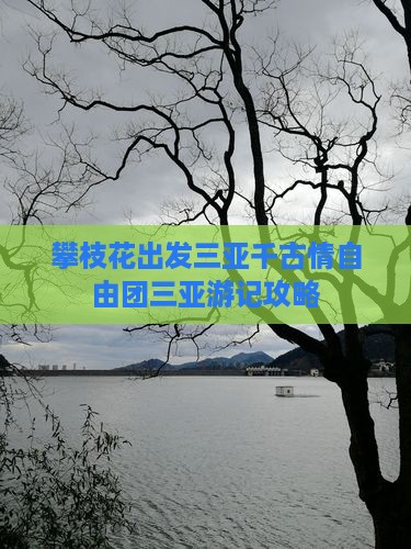 攀枝花出发三亚千古情自由团