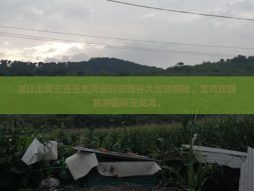 湛江出发三亚亚龙湾国际玫瑰谷大型旅游团