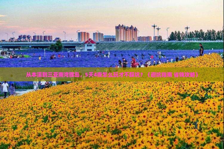 本溪去三亚南湾猴岛旅游打卡点