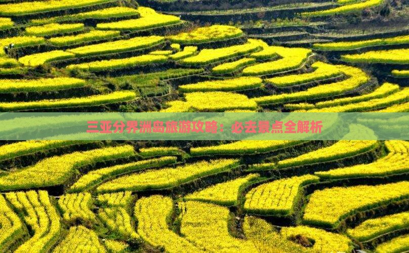 三明去三亚分界洲岛哪里玩