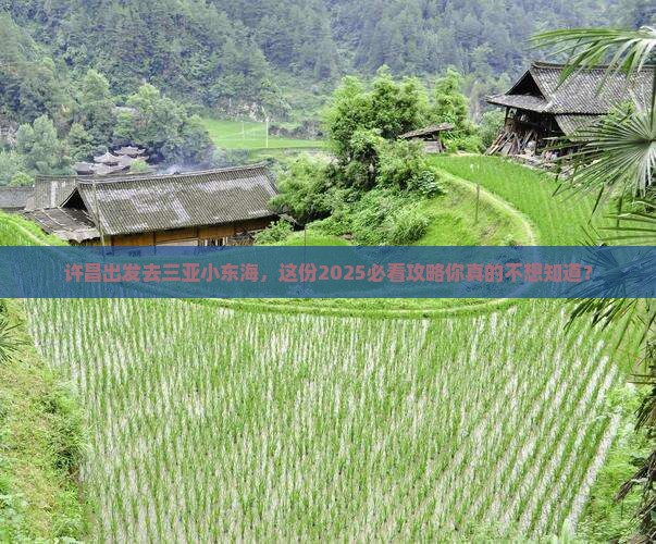 许昌前往三亚小东海团体旅游