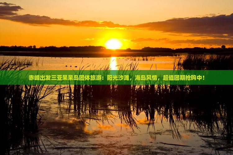 赤峰出发三亚呆呆岛团体旅游