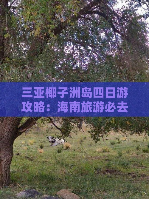 江门出发三亚椰子洲岛四日游