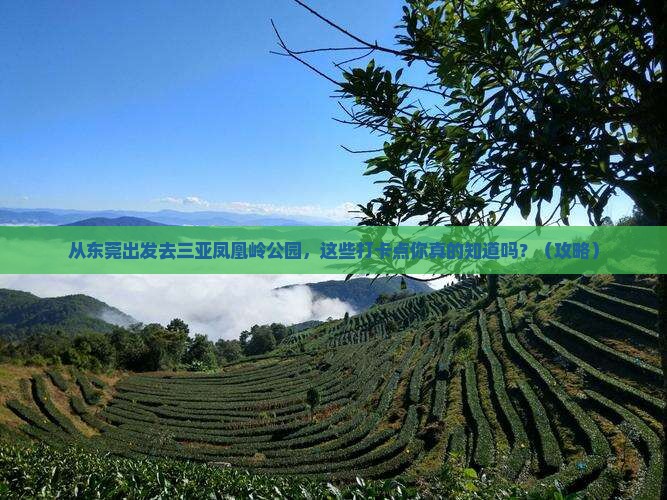 东莞前往三亚凤凰岭公园旅游打卡点