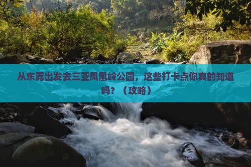 东莞前往三亚凤凰岭公园旅游打卡点