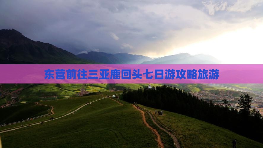 东营前往三亚鹿回头七日游 东营前往三亚鹿回头七日游