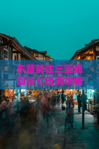 东营前往三亚鹿回头七日游 东营前往三亚鹿回头七日游