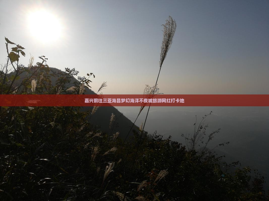 嘉兴前往三亚海昌梦幻海洋不夜城旅游网红地点