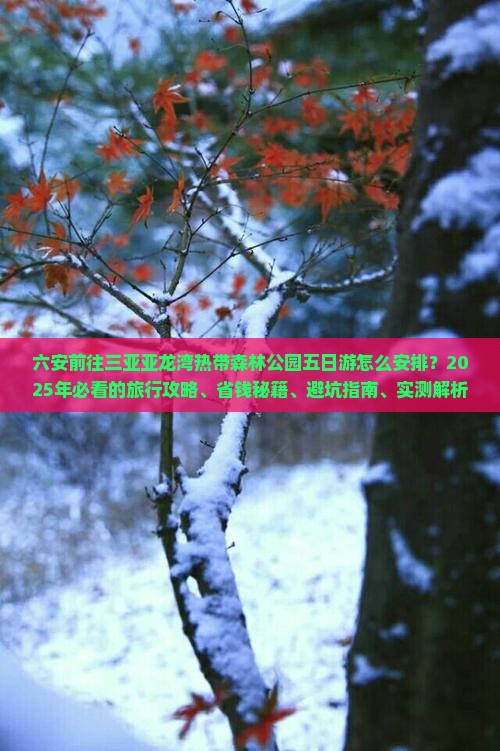 六安前往三亚亚龙湾热带森林公园五日游
