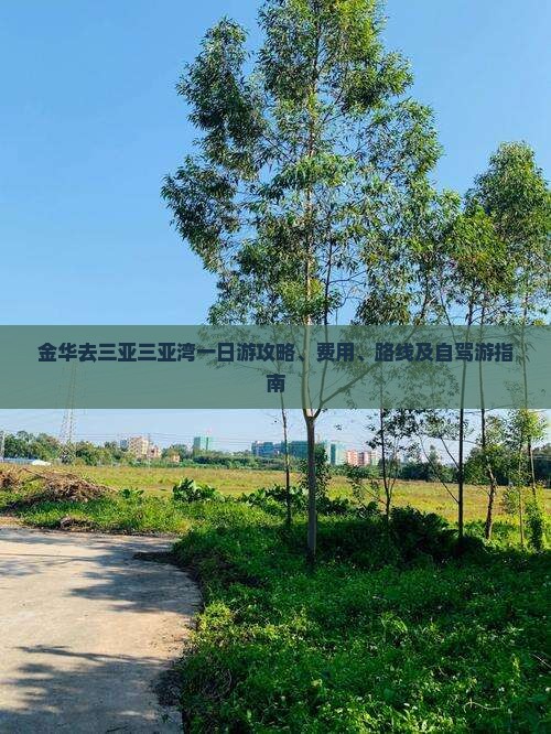 金华去三亚三亚湾一日游