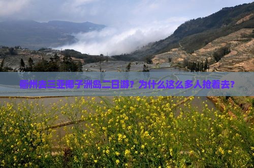 衢州去三亚椰子洲岛二日游