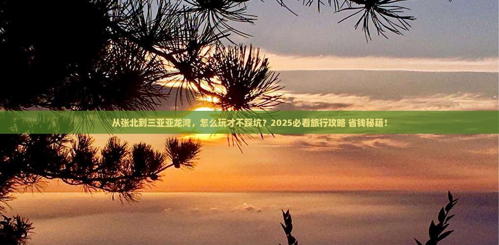 张北去三亚亚龙湾旅行社