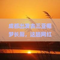 成都前往三亚椰梦长廊旅游打卡点