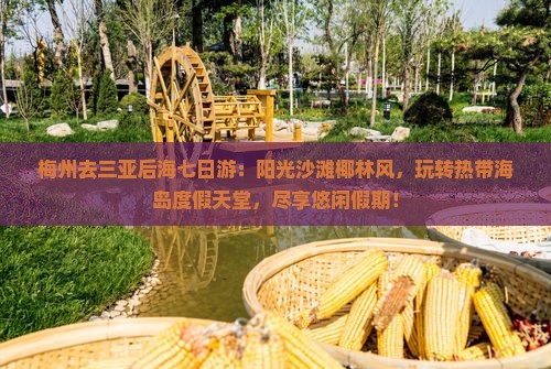 梅州去三亚后海七日游